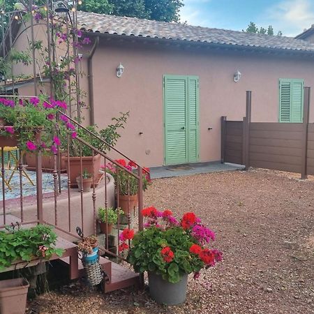 Appartamento Margherita Crespina Exterior photo